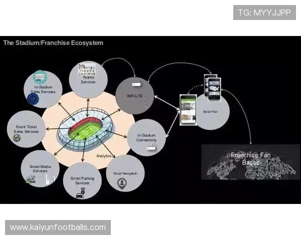 开云科教研究有限公司在推动网络游戏行业数字化转型中的关键作用与发展策略